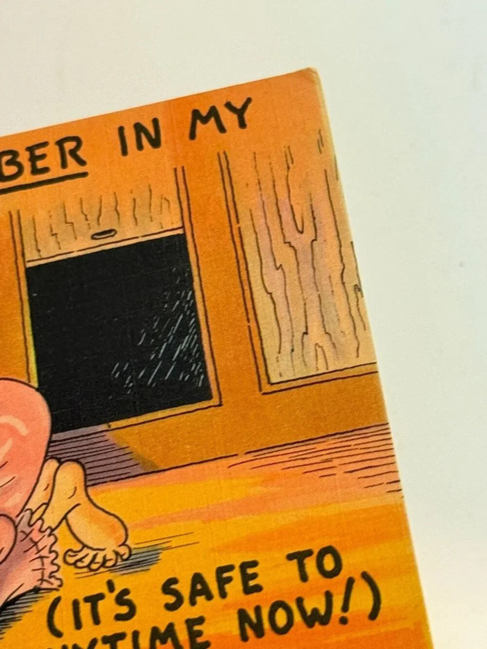Vtg I've Got A Secret Chamber in my House Postcard Old Lady Humor Money Ace Safe